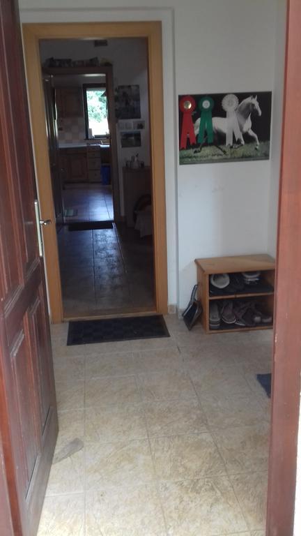 Chata Zahrada Madeta Veselí nad Lužnicí Zewnętrze zdjęcie