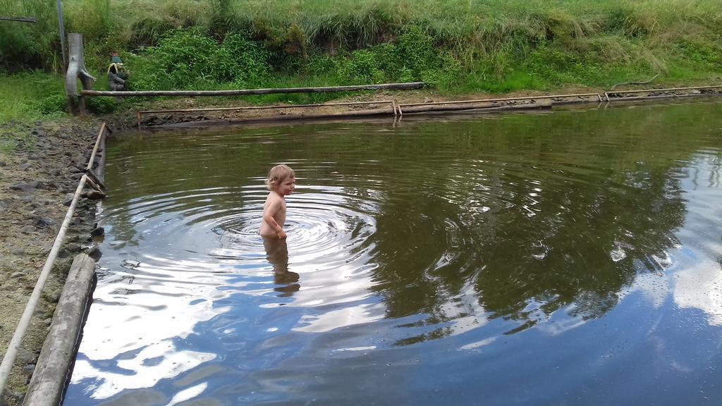 Chata Zahrada Madeta Veselí nad Lužnicí Zewnętrze zdjęcie